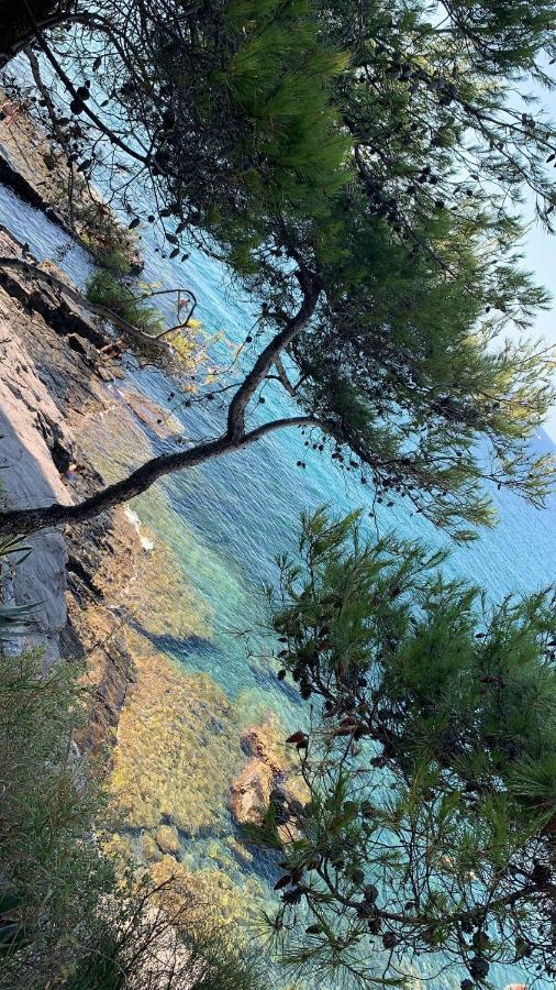 Bellissima Cervo Daire Dış mekan fotoğraf